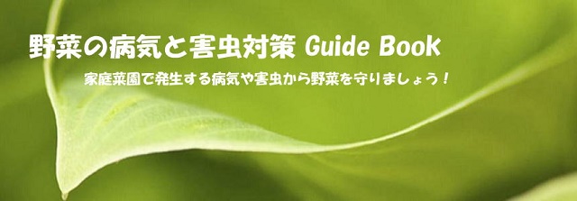 野菜の病気対策と害虫対策 Guide Book